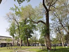 -国家图书馆·古籍馆