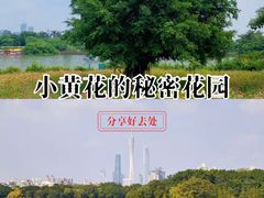 -海珠湖公园