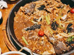 -老板恋上鱼(印象城店)