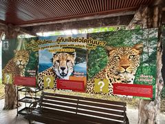 -清迈夜间动物园