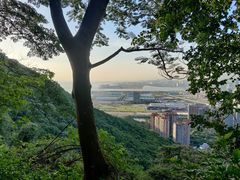 -小南山公园