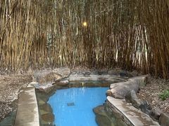 -森波拉火山温泉