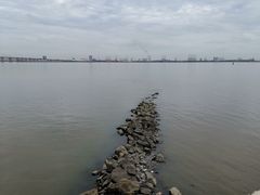 -大湾区中央湿地公园
