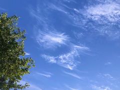 -胡仕光陵水酸粉