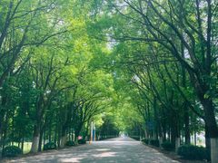 -松声马术俱乐部