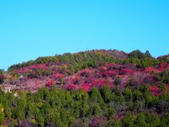 -北京西山国家森林公园