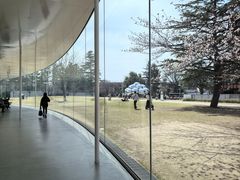 -金泽21世纪美术馆