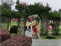 -武汉紫薇都市田园