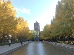 -玲珑塔公园