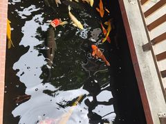 -侠成水上农庄(工业大道店)