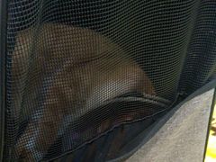 -瑞派动物医院·绝育·犬猫全科·预防医学(光景江南中店)