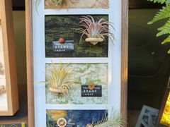 -棕榈岛海鲜自助餐厅(虹桥迎宾馆店)
