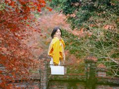 -田野绿世界