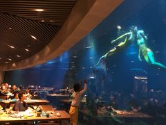 -海棠湾洲际-涛·海底餐厅·美人鱼·自助餐·海底隧道