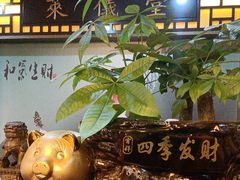 -莱仪堂艾灸经络养生馆(九亭一店)