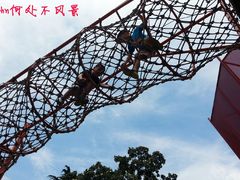 -中国福利会少年宫