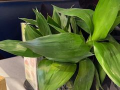 -渝信川菜(工体店)