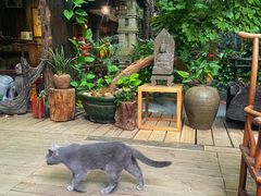 -The Flowers Coffee(南山店)