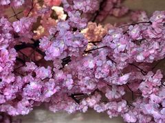 景观位-紫· 割烹  Kappo Murasaki