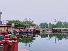 -白洋淀景区