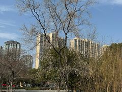 -南翔镇银翔湖公园