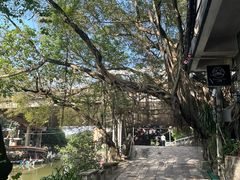 -小洲村
