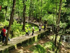 -牛背梁国家森林公园