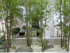 -南园(太仓市)