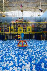 -爱丽丝奇幻乐园