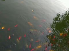 -月牙潭公园