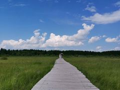 -塞罕坝国家级自然保护区