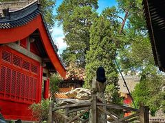 -北京艺术博物馆(万寿寺)