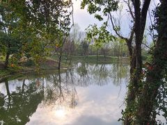 -西溪国家湿地公园