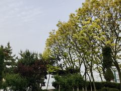 -黑石礁公园