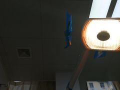 -中山大学附属第六医院(院本部)