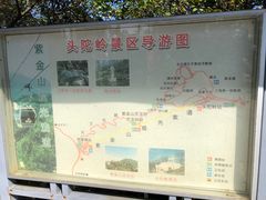 -紫金山山顶公园