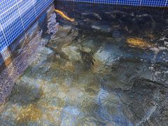 -北京龙庆四季香农家饭庄·灶台鱼·碳烤虹鳟鱼(龙庆峡店)