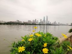 -珠江夜游广州塔·中大码头