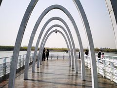 -大兴滨河森林公园