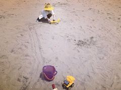 -春花秋色城市公园