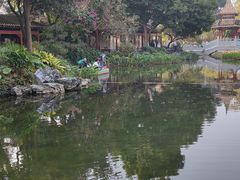 -顺峰山公园