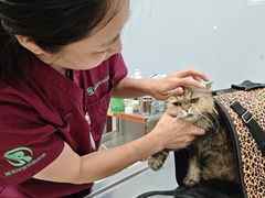 -瑞派·关忠动物医院·异宠专科·犬猫肿瘤·皮肤专科(望京店)