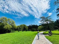 -上海共青森林公园