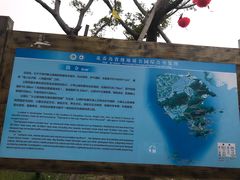 -花岙岛