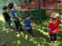 -萌宠亲子动物乐园(槐房万达店)