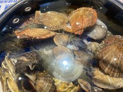 -大锅强·蒸海鲜青岛菜(金沙滩店)