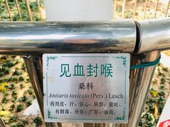 -广州神农草堂中医药博物馆