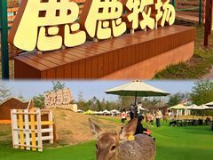 -盈香心动乐园