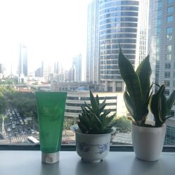 -悦诗风吟innisfree