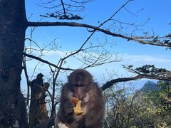 -峨眉山风景名胜区
